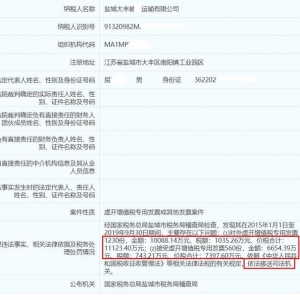 盐城101家公司因虚开增值税专用发票被移送立案，大多为运输公司 ...