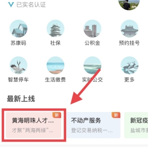 2021盐城黄海明珠人才计划手机APP怎么申报补贴？