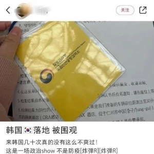 热议！网友自述入境韩国：被挂“黄牌”，像罪犯般被拉走，几十个记者围着拍… ... ... ...