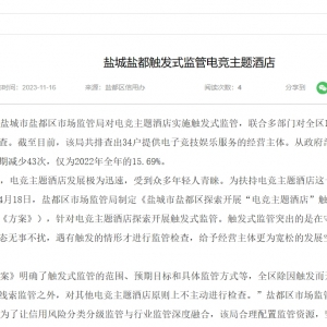 江苏盐城市盐都区电竞主题酒店新监管政策